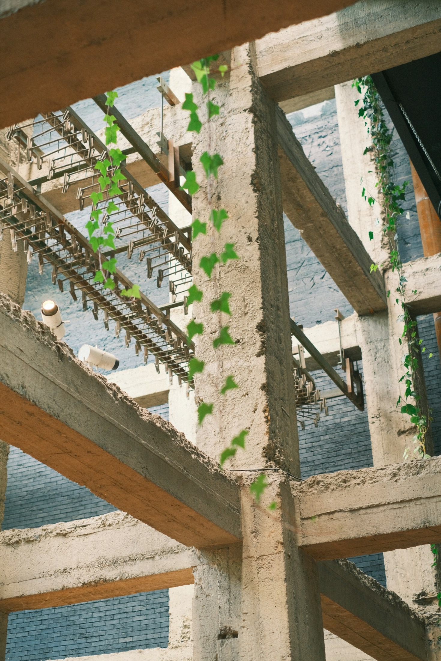 Top Trends in Sustainable Architecture for 2024
